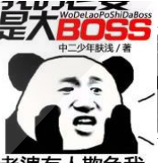 我的老婆是大BOSS