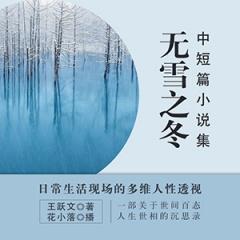 无雪之冬：中短篇小说集