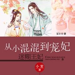 从小混混到宠妃：迷糊王妃