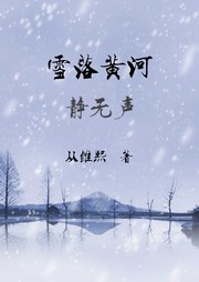 雪落黄河静无声