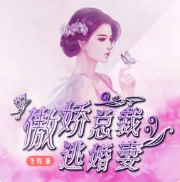 傲娇总裁逃婚妻